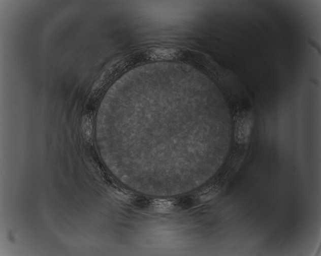 X0000103290701200809261250