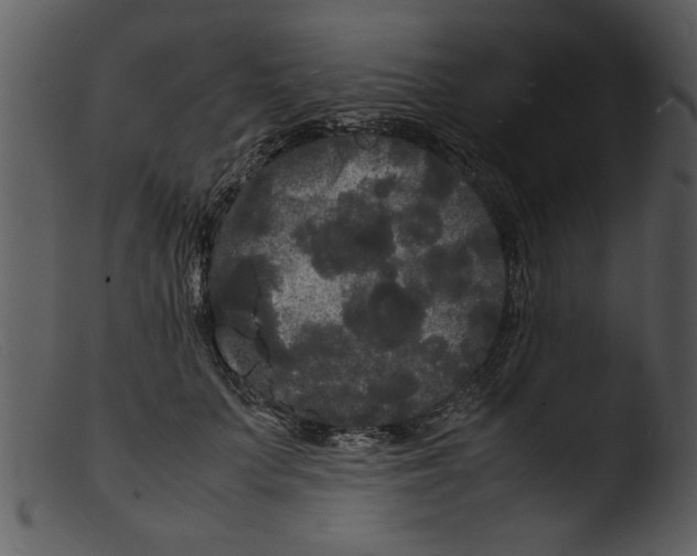 X0000103290703200809261250
