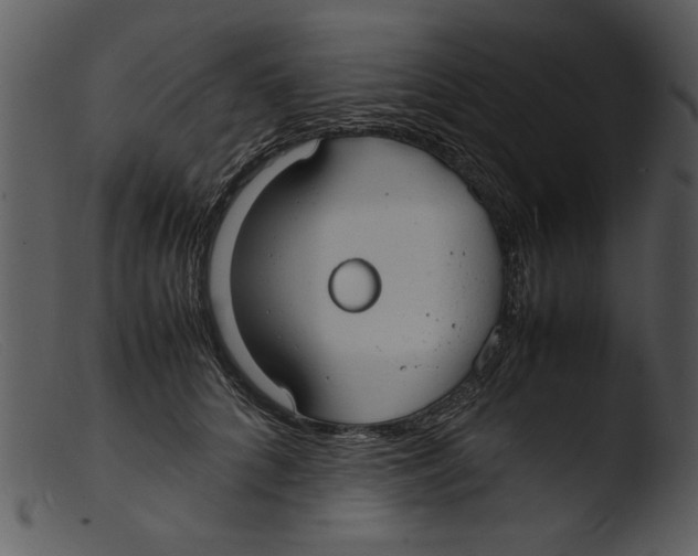 X0000103290704200809261250