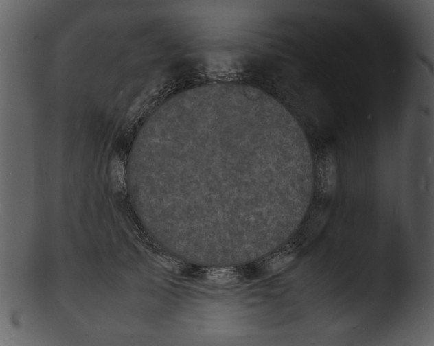 X0000103290705200809261250