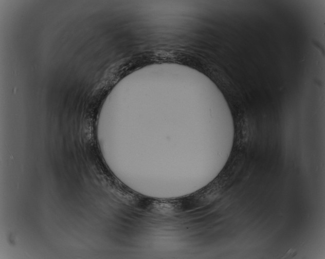 X0000103290706200809261250