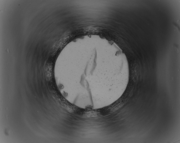 X0000103290708200809261250
