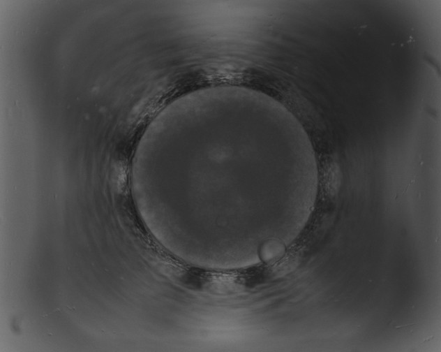 X0000103290709200809261250