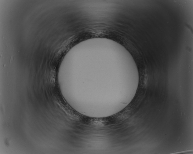 X0000103290710200809261250