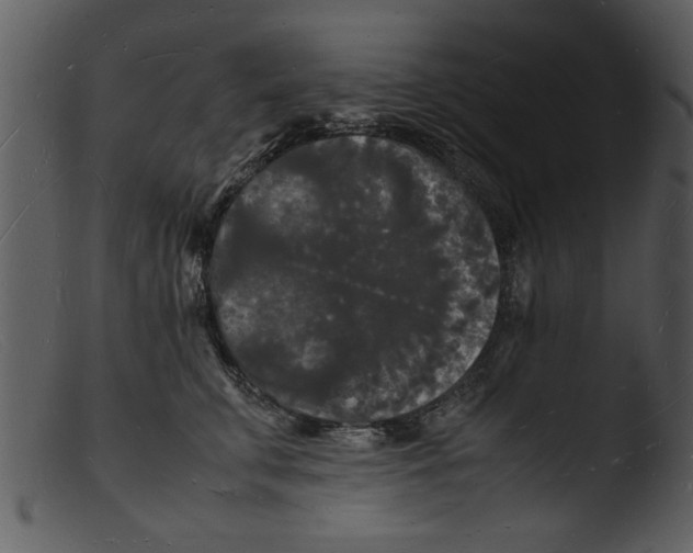 X0000103290711200809261250