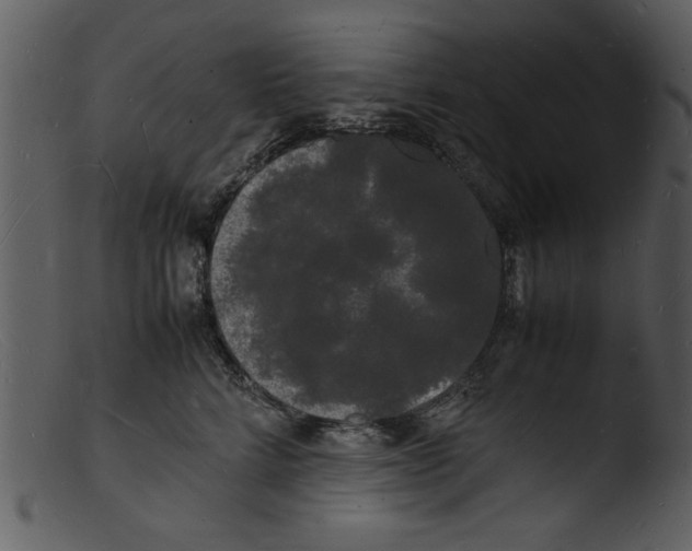 X0000103290712200809261250