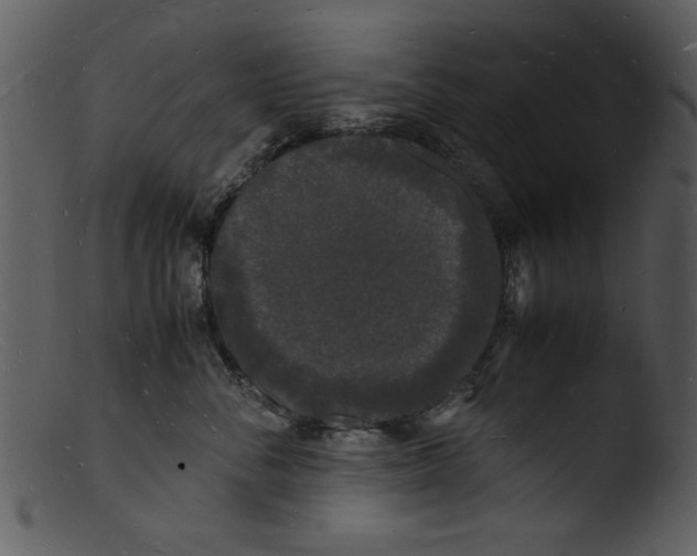 X0000103290716200809261249