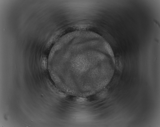 X0000103290718200809261249