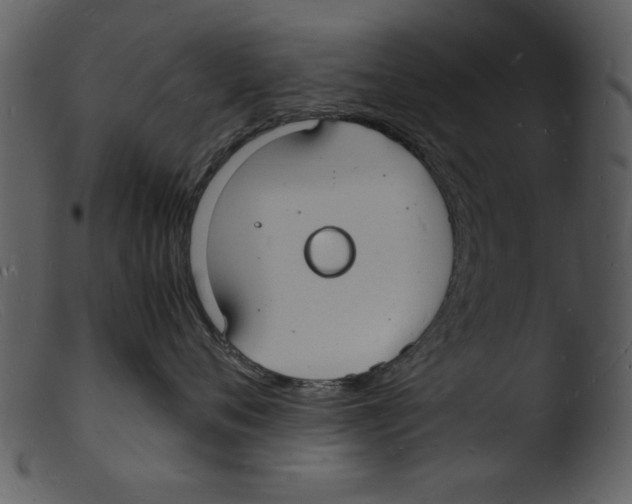 X0000103290720200809261249