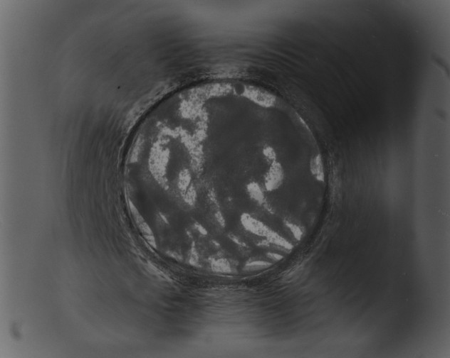X0000103290721200809261249