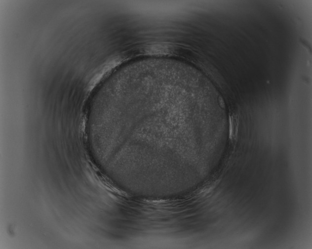 X0000103290723200809261249
