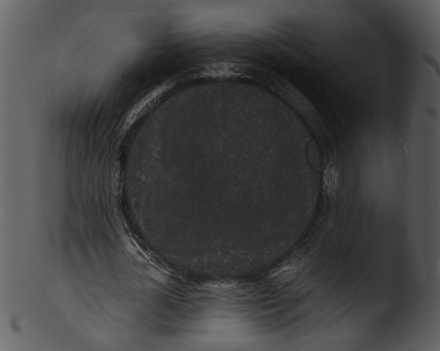 X0000103290724200809261249