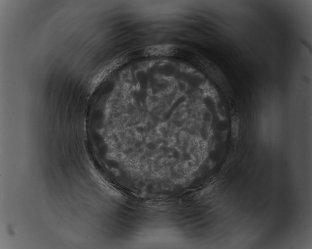X0000103290725200809261249