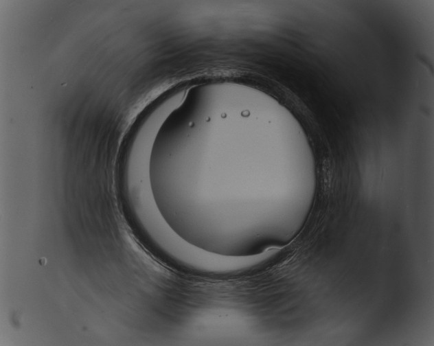 X0000103290726200809261249