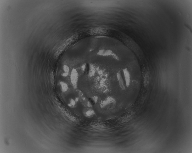 X0000103290729200809261249