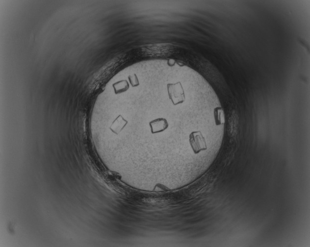 X0000103290733200809261249