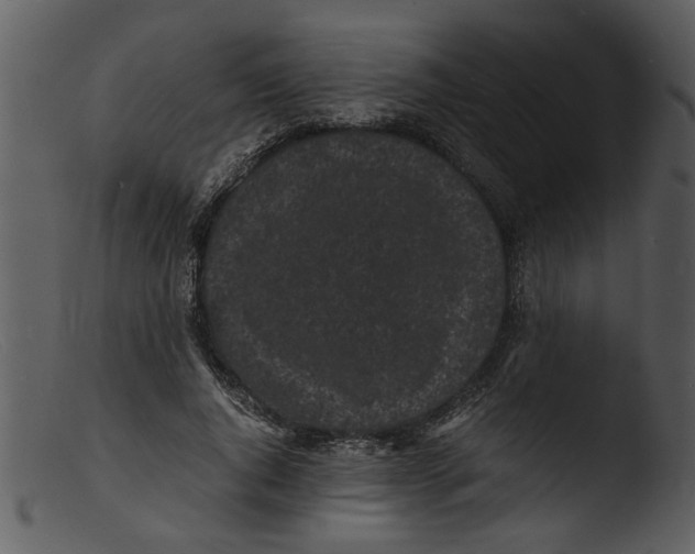 X0000103290736200809261249