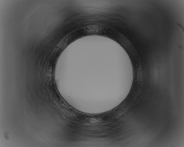 X0000103290737200809261249