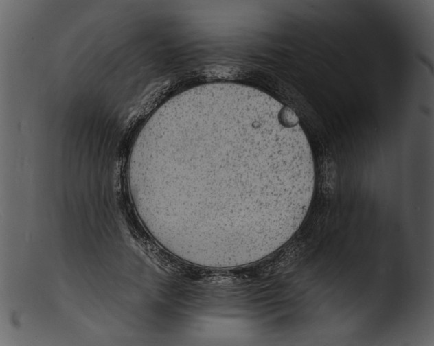 X0000103290738200809261249