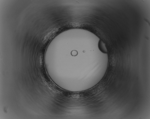 X0000103290740200809261249
