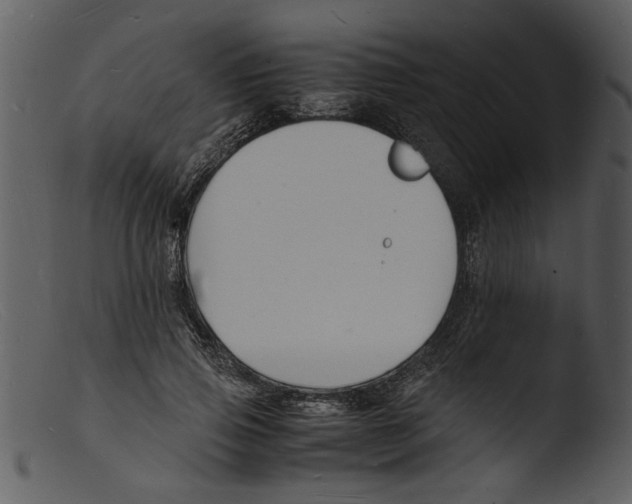 X0000103290741200809261249