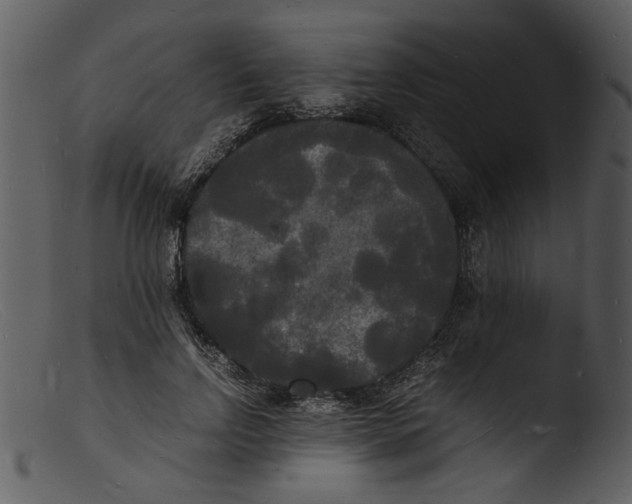 X0000103290742200809261249