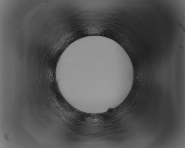 X0000103290743200809261249