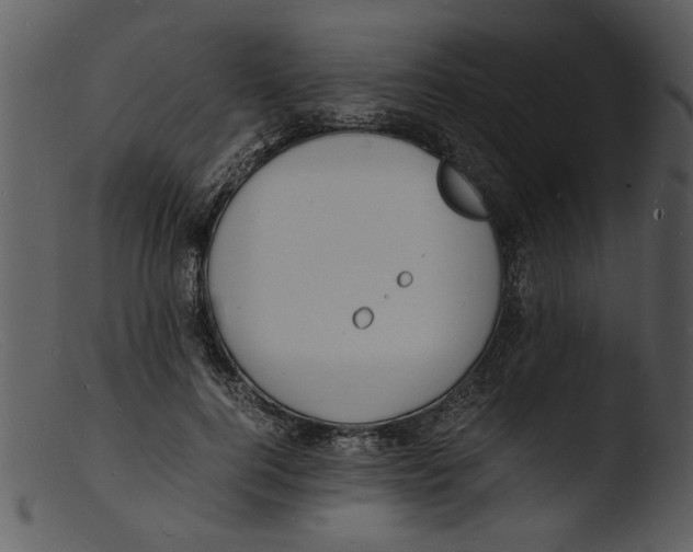 X0000103290744200809261249