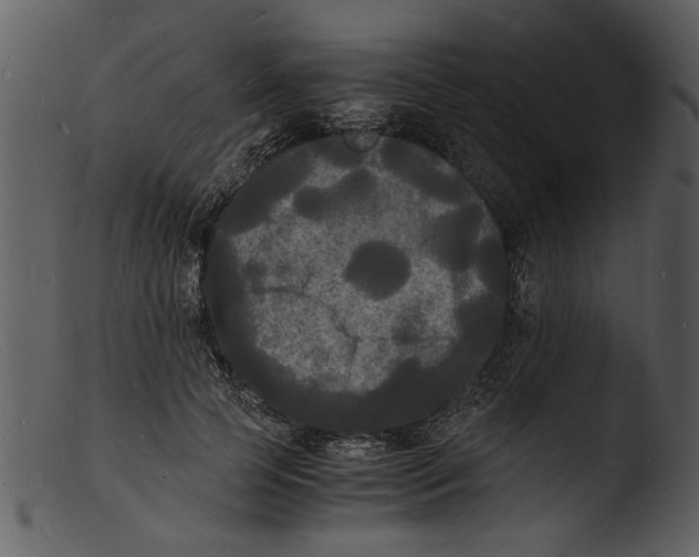 X0000103290745200809261249