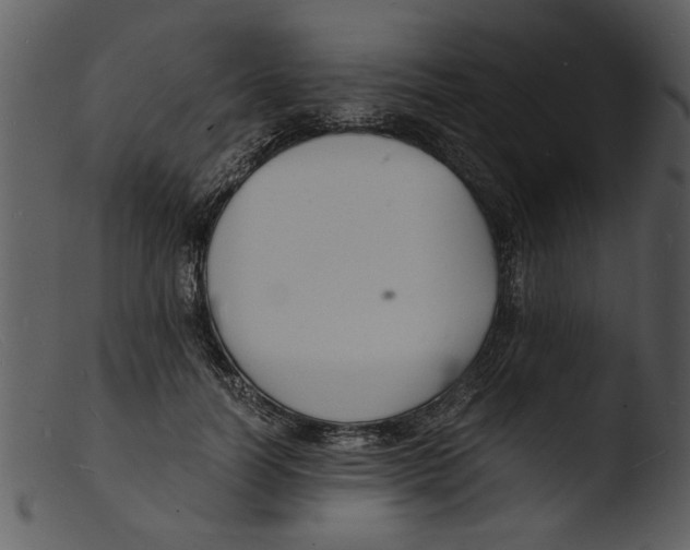 X0000103290746200809261249