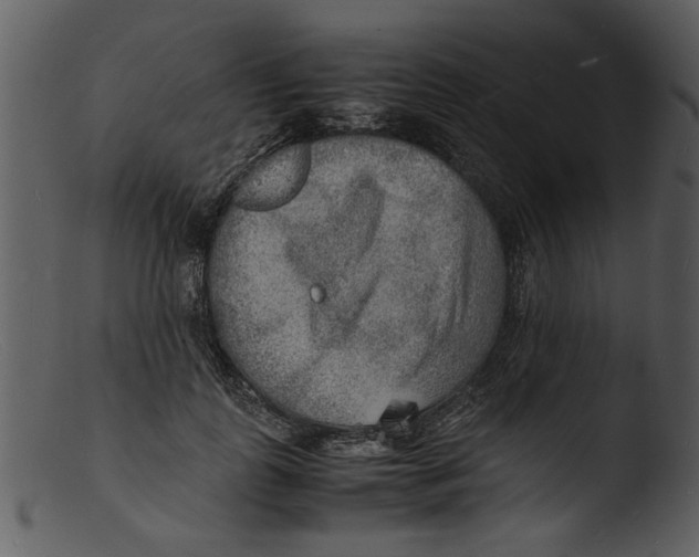 X0000103290747200809261249