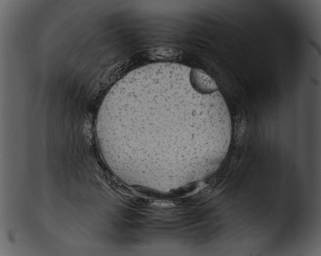 X0000103290749200809261249