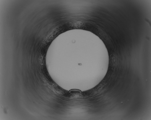 X0000103290750200809261249