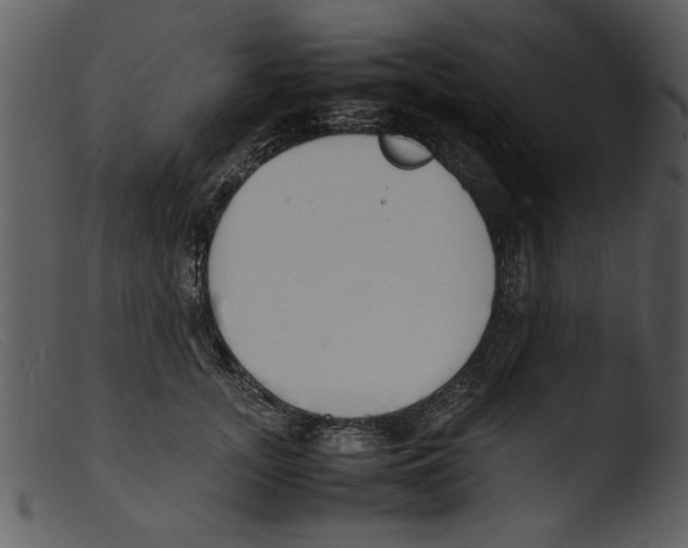 X0000103290755200809261249
