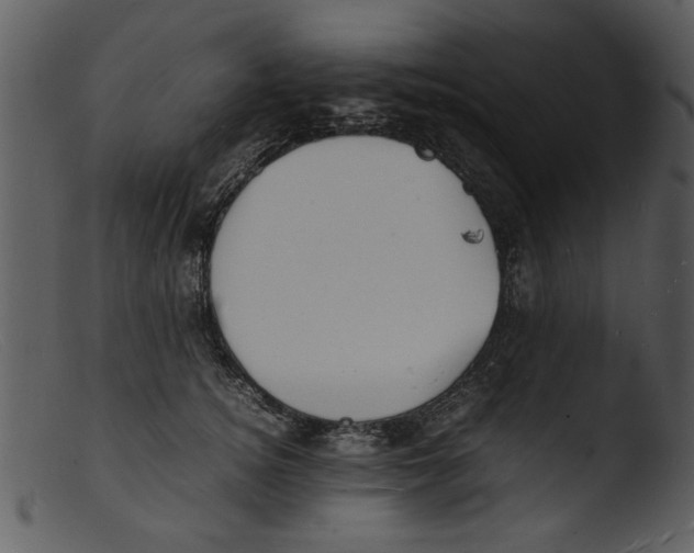 X0000103290756200809261249