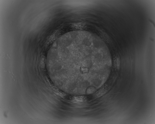 X0000103290757200809261249