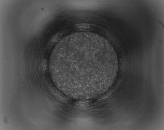 X0000103290758200809261249