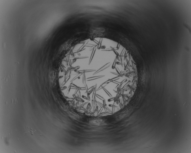 X0000103290759200809261249