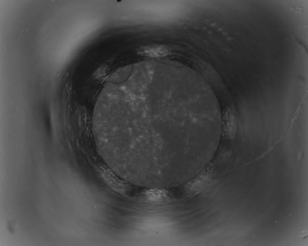 X0000103290762200809261249