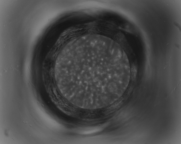 X0000103290765200809261249