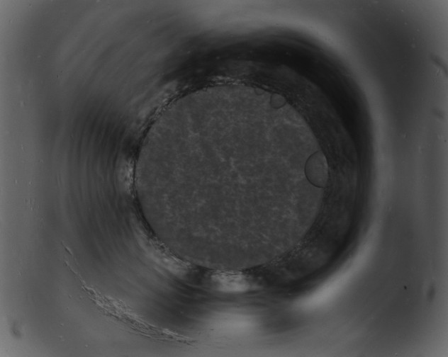 X0000103290767200809261249