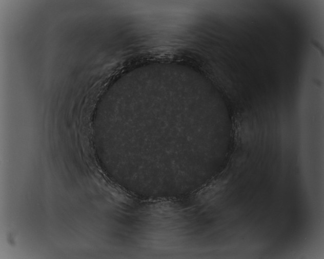 X0000103290769200809261249