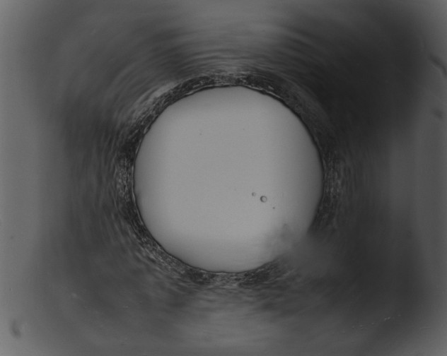 X0000103290773200809261249