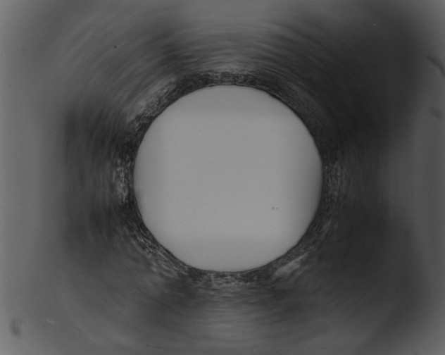 X0000103290774200809261249