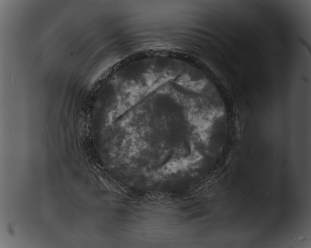 X0000103290775200809261248