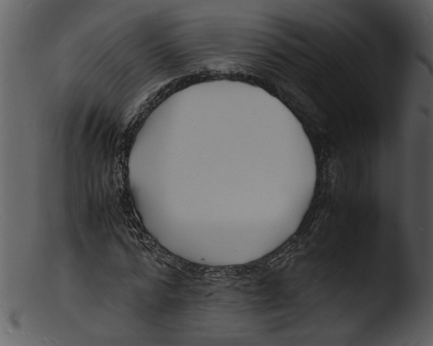 X0000103290776200809261248