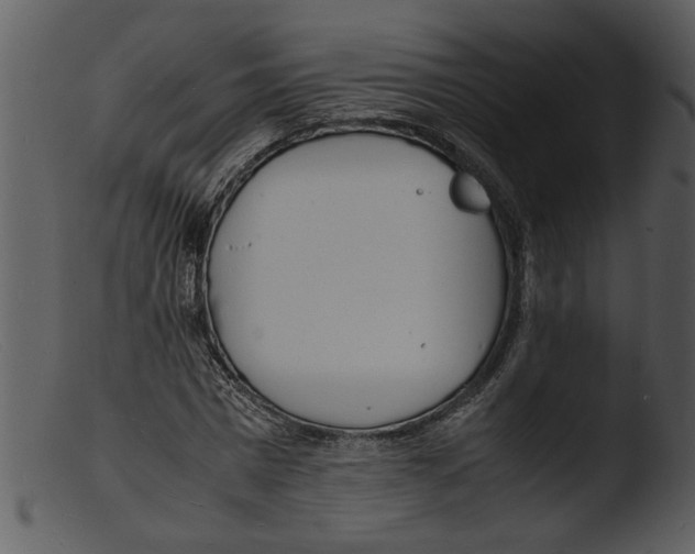 X0000103290777200809261248