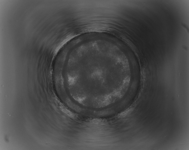 X0000103290779200809261248