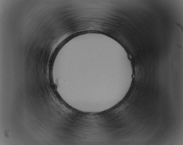 X0000103290780200809261248