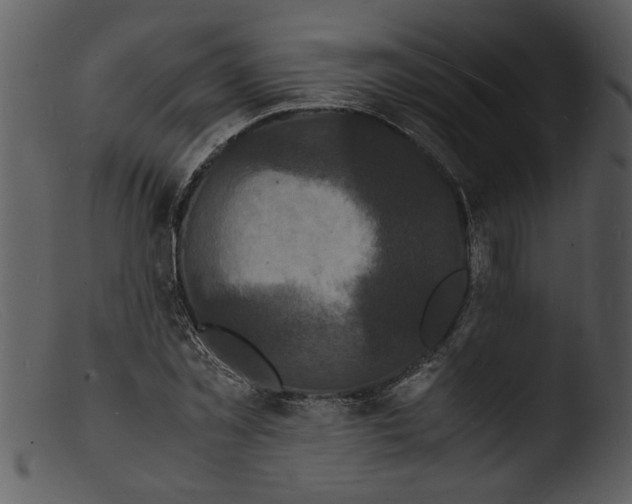 X0000103290781200809261248